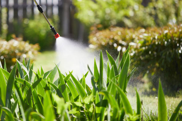 24/7 Emergency Termite Control experts in Collinsville, OK